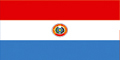 paraguayan flag